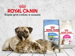 Баннер Royal Canin