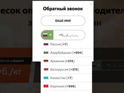 MaskInput, валидация телефона для стран СНГ на JS
