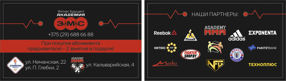 визитка ЭМС final2 RGB.jpg