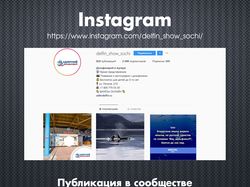 Дельфинарий в Адлере / Instagram
