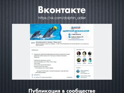 Дельфинарий в Адлере / Вконтакте