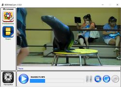 BDEsoft Webcam. Виртуальная веб-камера с драйвером