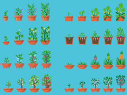 Векторные иллюстрации растений