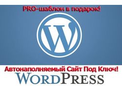 Создам автонаполняемый сайт на WordPress + БОНУС
