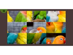 Cute Pets Puzzle