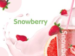 Полиграфическая продукция для эко-бара Snowberry