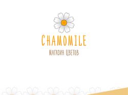 Chamomile | магазин цветов