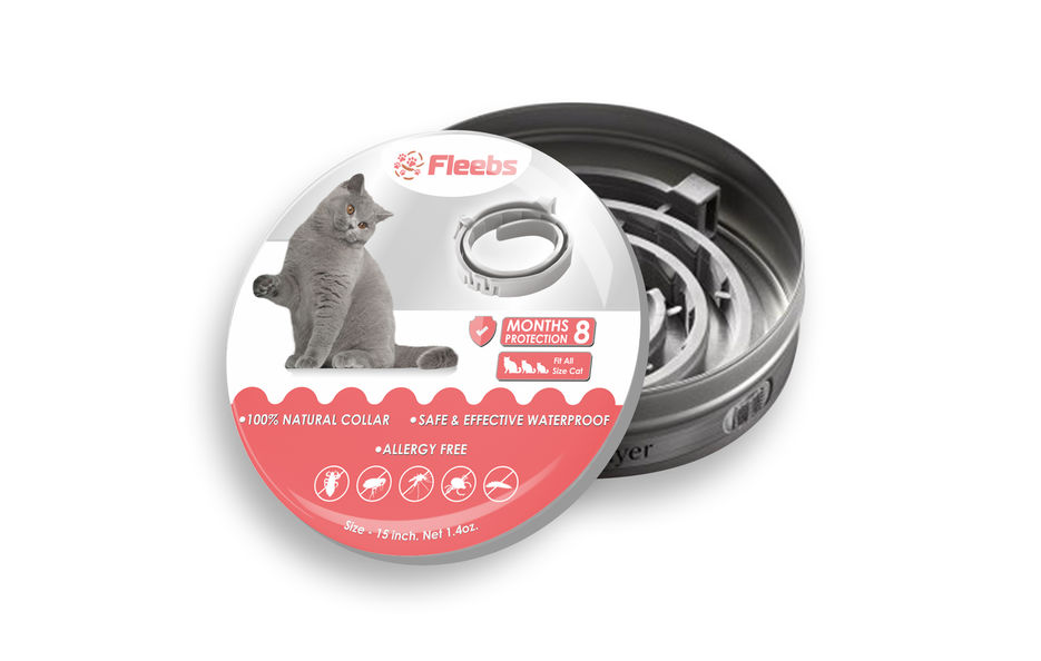 Fleebs кот 2 вебланс.jpg