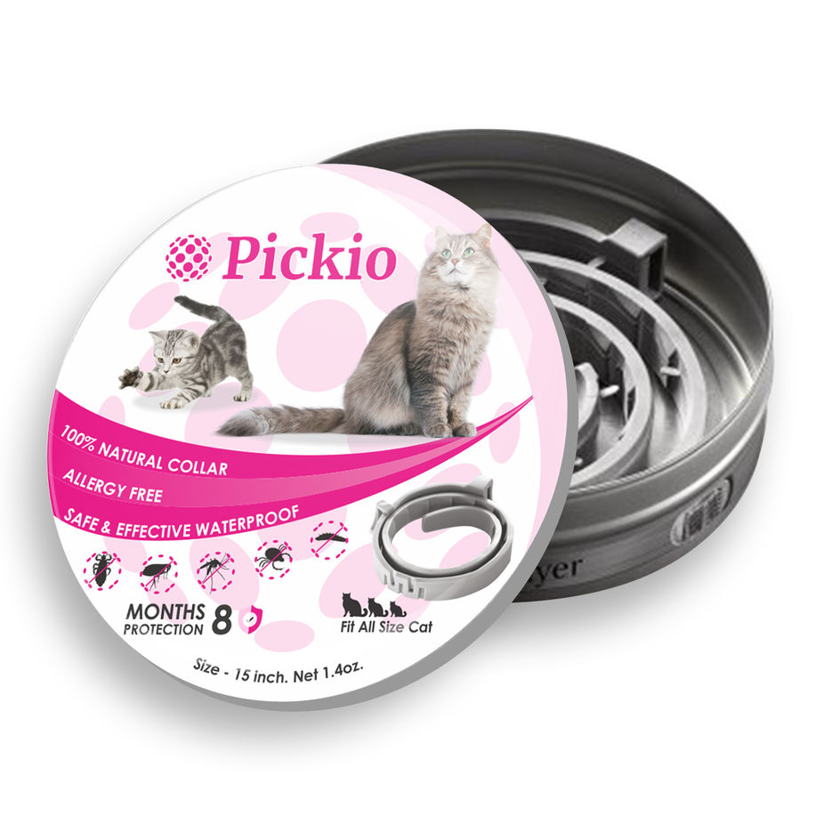 Коробка Pickio кот веблансер.jpg