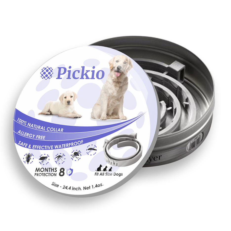 Коробка Pickio пес веблансер.jpg