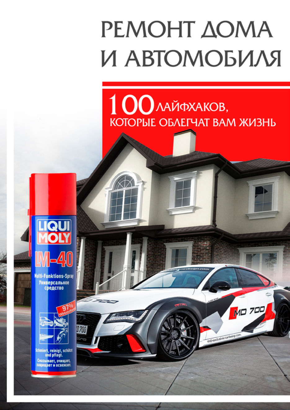 обложка книги.jpg