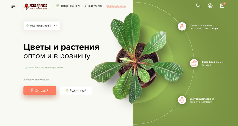 Главная.jpg