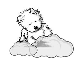 собака на облаке.