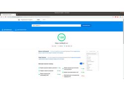 Настройка сервера для Webasyst PageSpeed 100