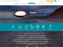 Дизайн для сайта компании по продаже соли