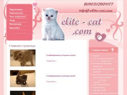 Сайт по продаже котят