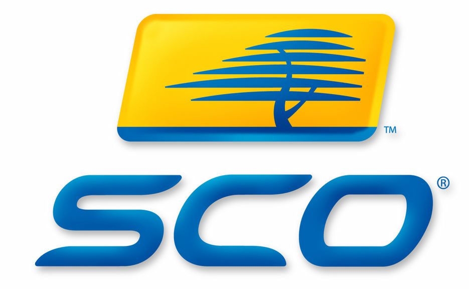 Логотип SCO.jpg