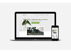 Дизайн сайта по продаже комнатных растений