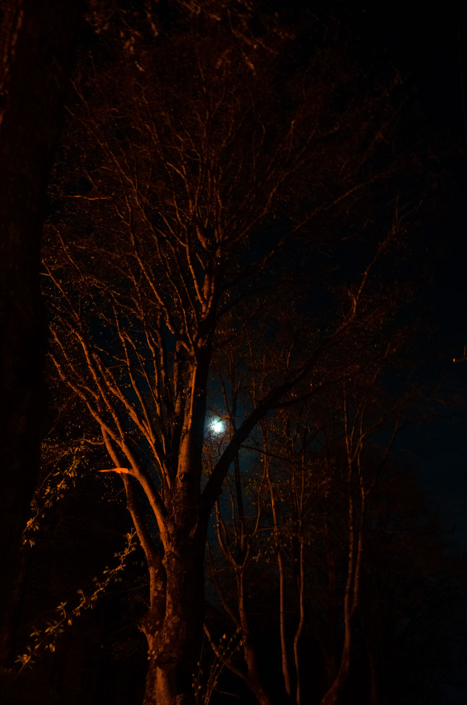 DSC_1024.JPG