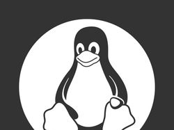 Сервер Linux - настройка игрового хостинга