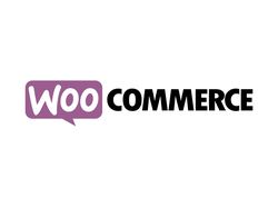 Плагин электронной коммерции WooCommerce
