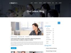 Razbin Digital верстка блога и посадка на Wordpres