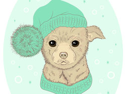 Cute winter dog. Милая зимняя собака в шапке