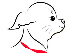 Маленькая собачка чихуахуа. Контур, логотип