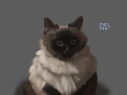 домашний кот Пушкин