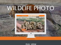 Дизайн сайта фотографа дикой природы