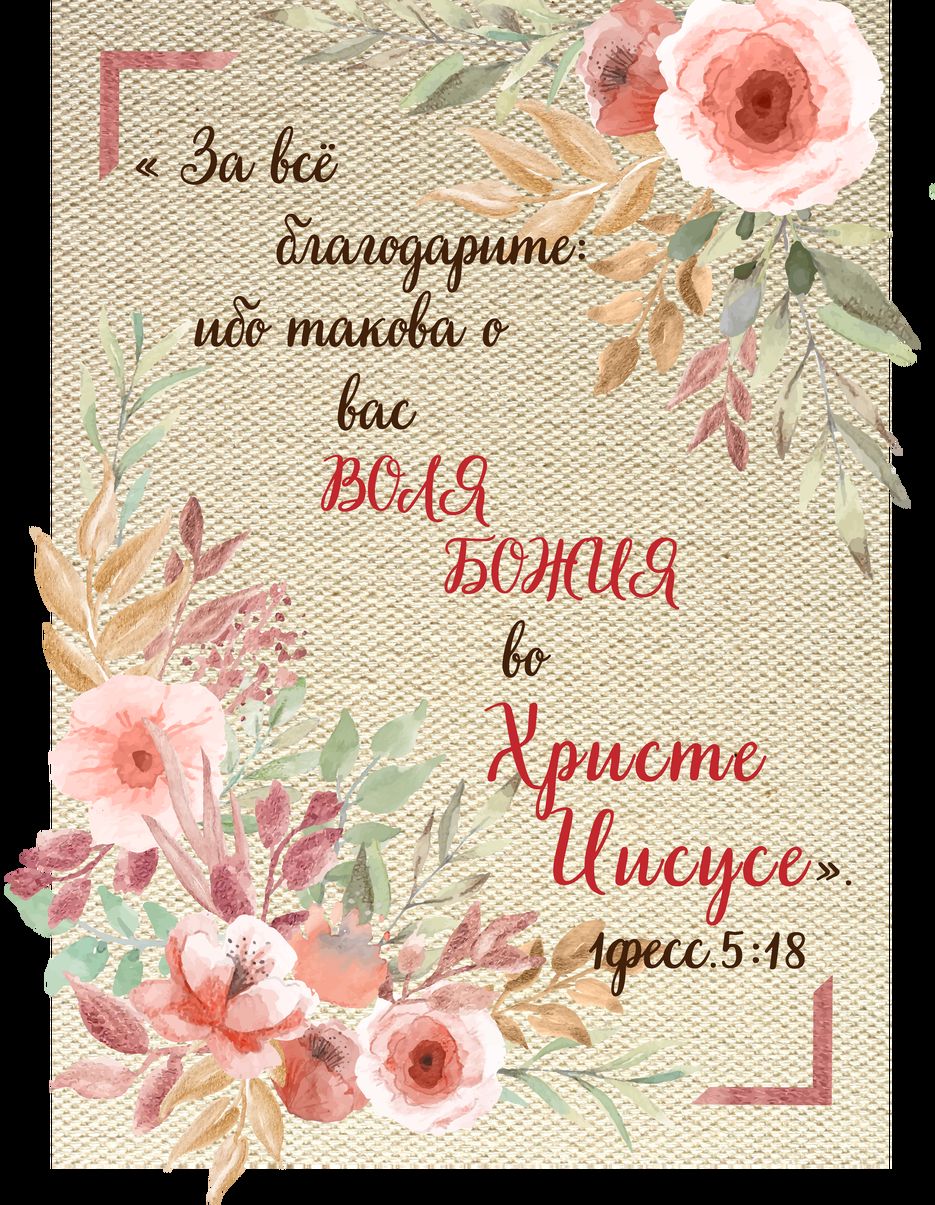 12 штук-01.png