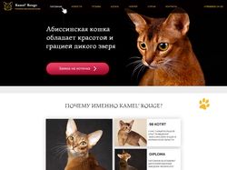 Kamel ' Rouge website design