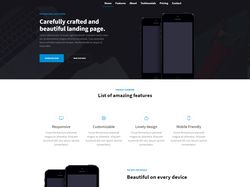 Lucid onepage