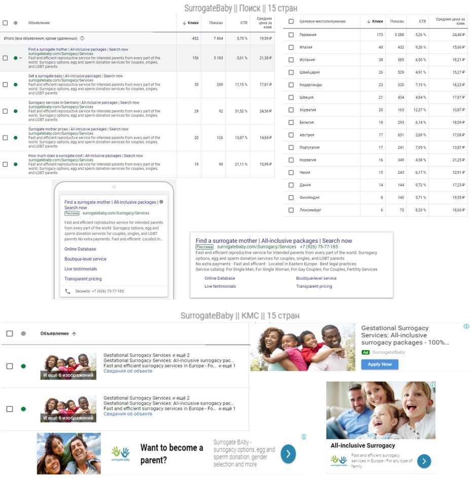 surrogatebaby.com.jpg