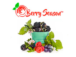 BerrySeason - Сушка, саженцы