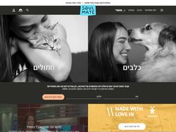 Верстка и натяжка на WordPress + WooCommerce