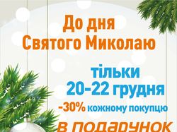 Флаер для Спортландии "День Николая"