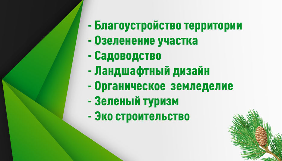 Озеленение_территории_Монтажная область 1.jpg