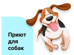 Приют для собак