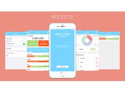 Budgetr - приложение для бюджетирования.