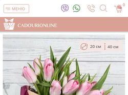 Разработка интернет-магазина CadouriOnline
