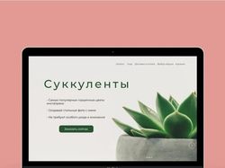Дизайн сайта Суккуленты