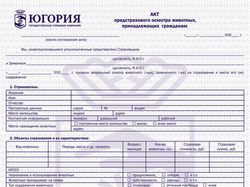 Полис для страховой компании