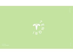 Логотип Tengri