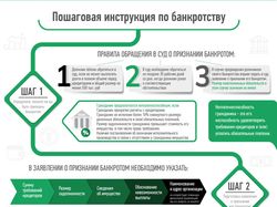 Инфографика