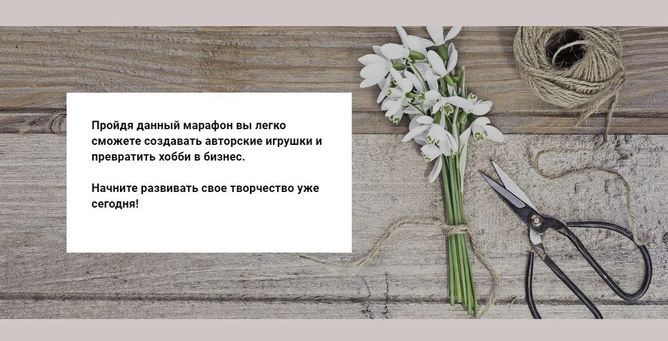 9 Скриншот лендинга(использован мой текст).png