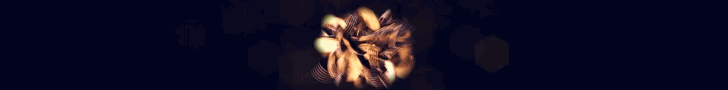 728.gif
