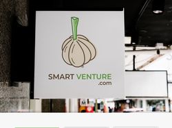 Smart Venture Logo Design