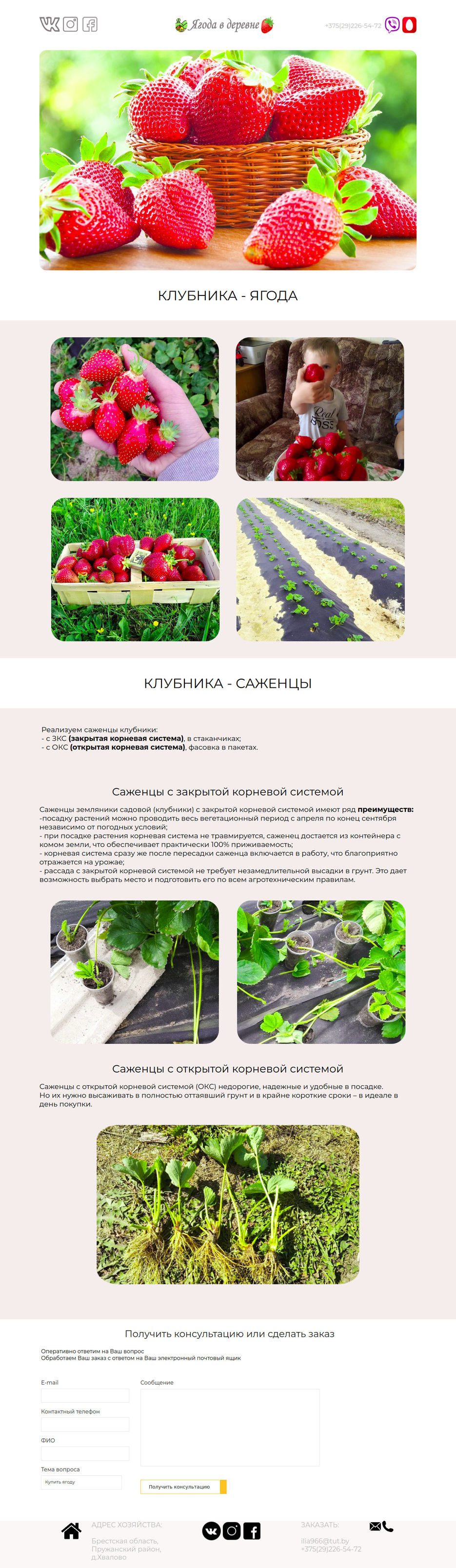 Screenshot_2020-02-09 Ягоды в деревне.jpg