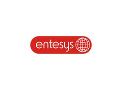 Логотип Entesys